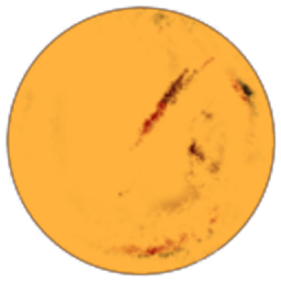 The Midday Sun