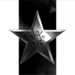 White Star LLC