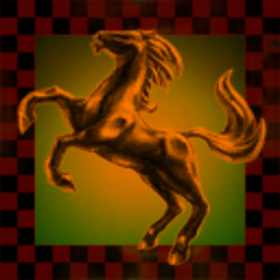 AMBER HORSE ADVENTURES