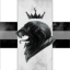 Black Lion Academy