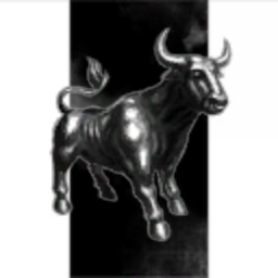 Yet Another Stupid Holding Corp
