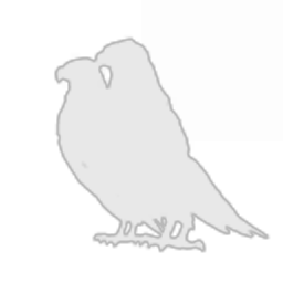 Project Green Bird Caldari