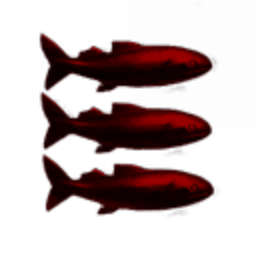 Haginus Special Services