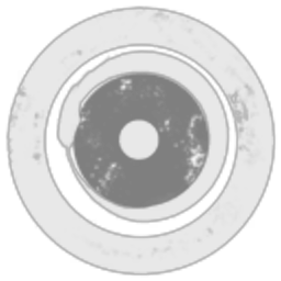 Wormhole Scouting Service