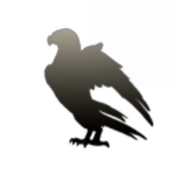 Northern Shrikes