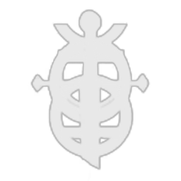 Zulu Ubunga