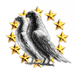 Skorm Brothers Ltd.