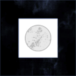 Nocturnal Visions