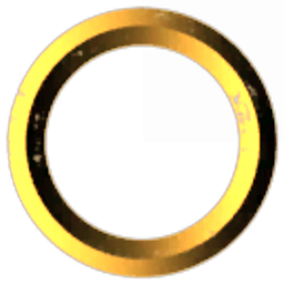 The Circle Inc.