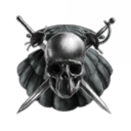Raider's Nation