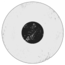 Society Logistics Division