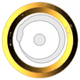 Roanok corp
