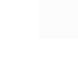 BRebus Corporation