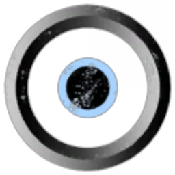 Singularity's Horizon