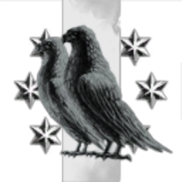 DarkLight Soars