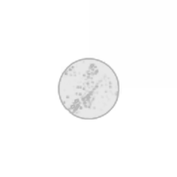 85345345635