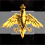 Egyptian Royal Forces