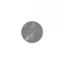 Black Bit AI