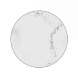 IVSOC