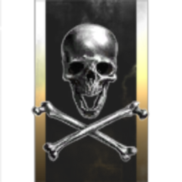 BadSkull Company