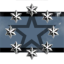 Silver Star Dragoons