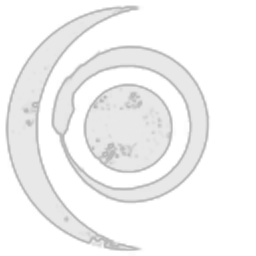 Circle of Dawn