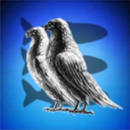 New Eden intern corporation