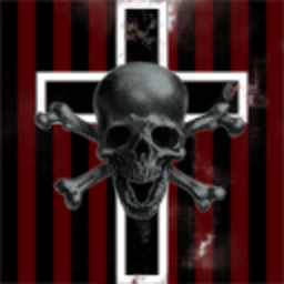 Black Skull Fleet