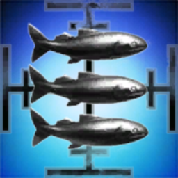 Sushi Nation