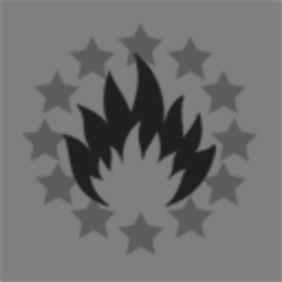 Star Industry Holding
