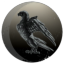 Ravens Crest