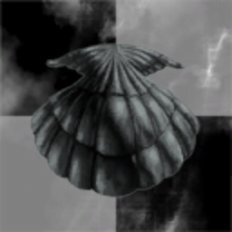 Tabby Hat Shell Company