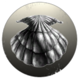 Space Shells