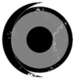 ANGEL PIONEER FORCE