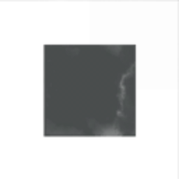 AMNU CORP. Protection Detail