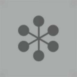 StarForce Holdings Inc.