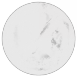ALTERNATIV CYNO