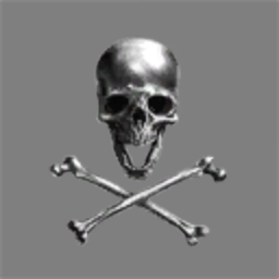 Black Skull gang