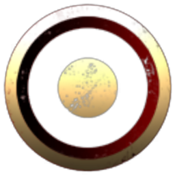 Insignificant Industries Inc