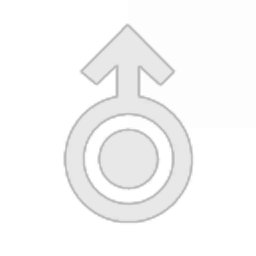 White Arrows