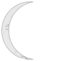 Ordo Noctuarum