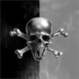 Strain-Hays Totally Not Pirates Co