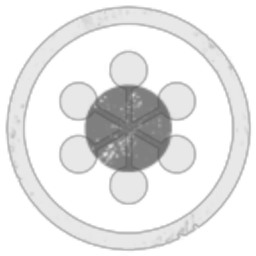 Disier Prospectors